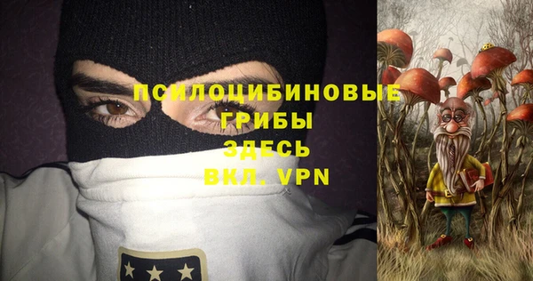 амф Арсеньев