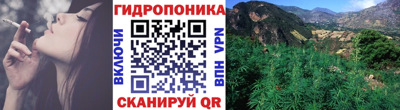 сколько стоит  Каневская  Канабис White Widow 